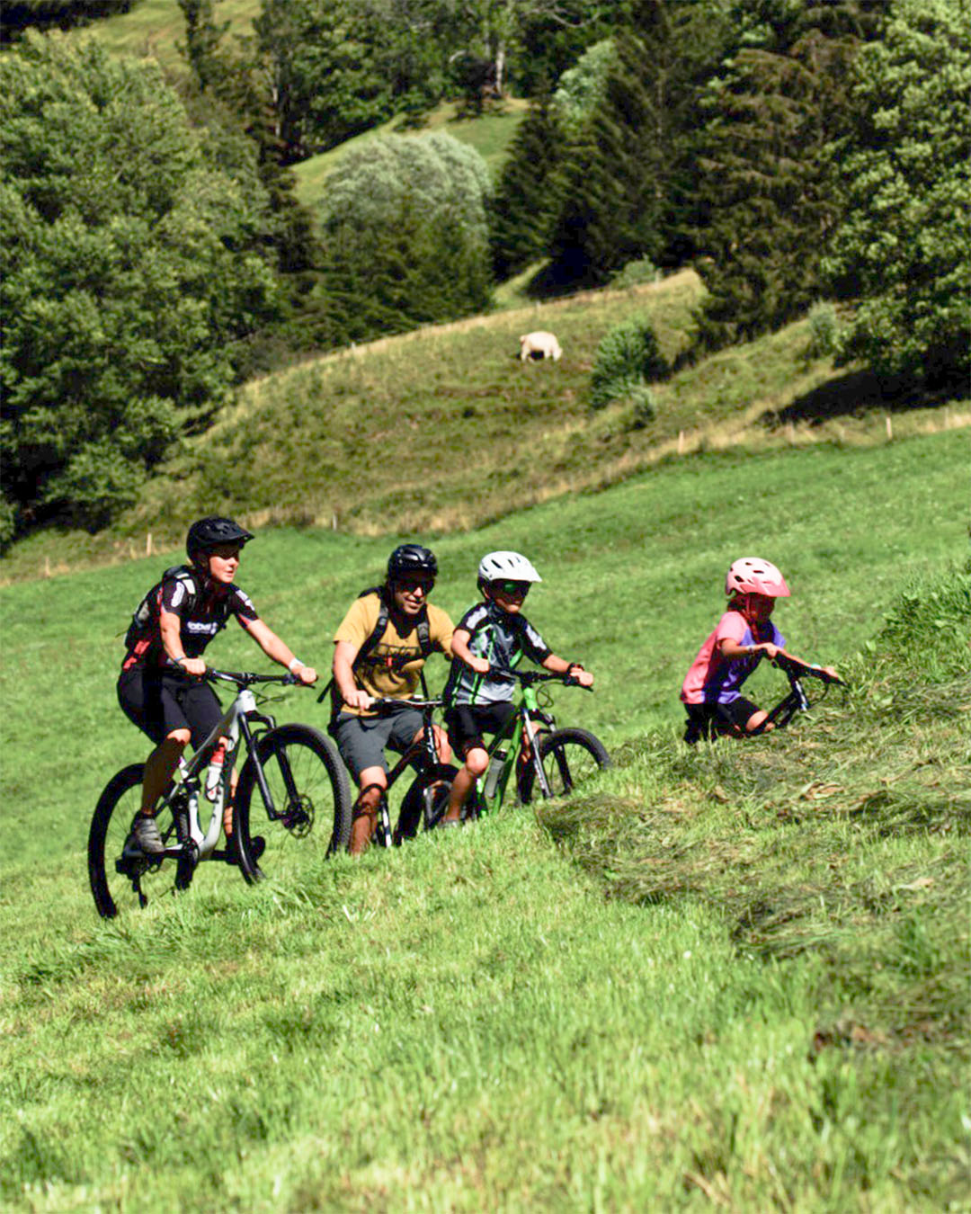 pays-d-enhaut-vtt - 32web